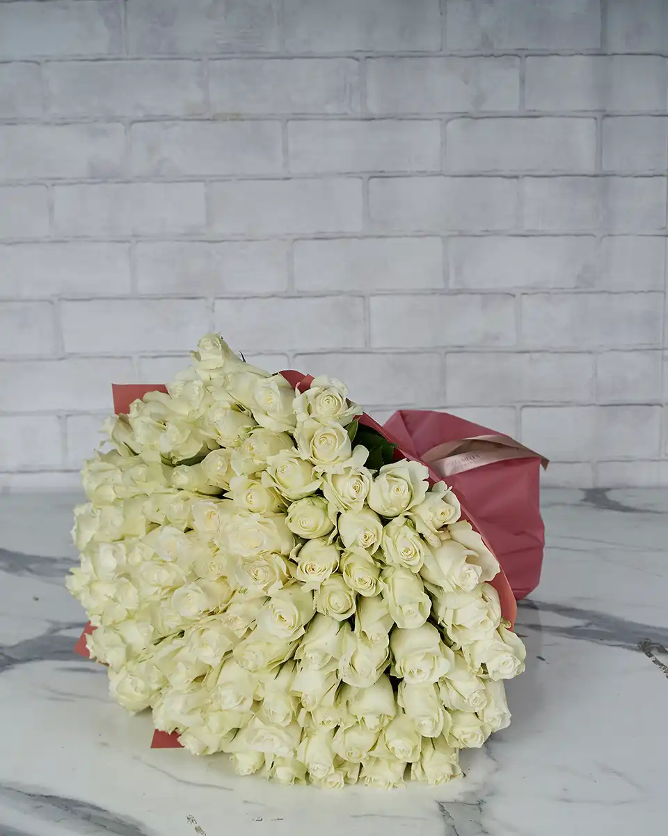 100 White Rose  new Pink