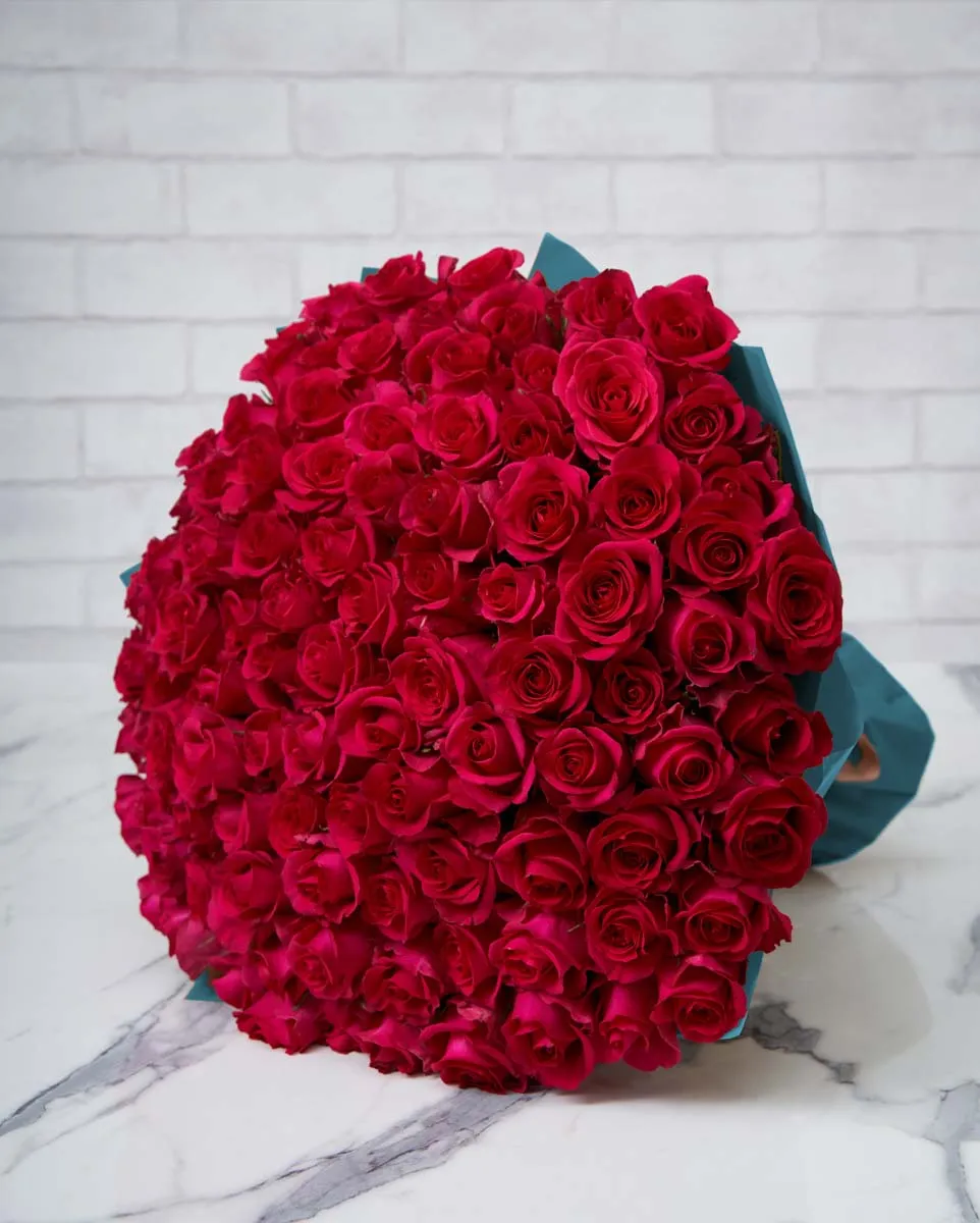 100 cerise roses blue wrap
