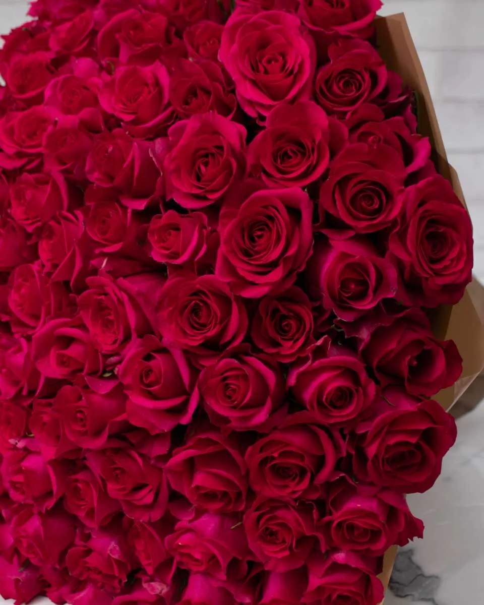 100 cerise roses detailed 3