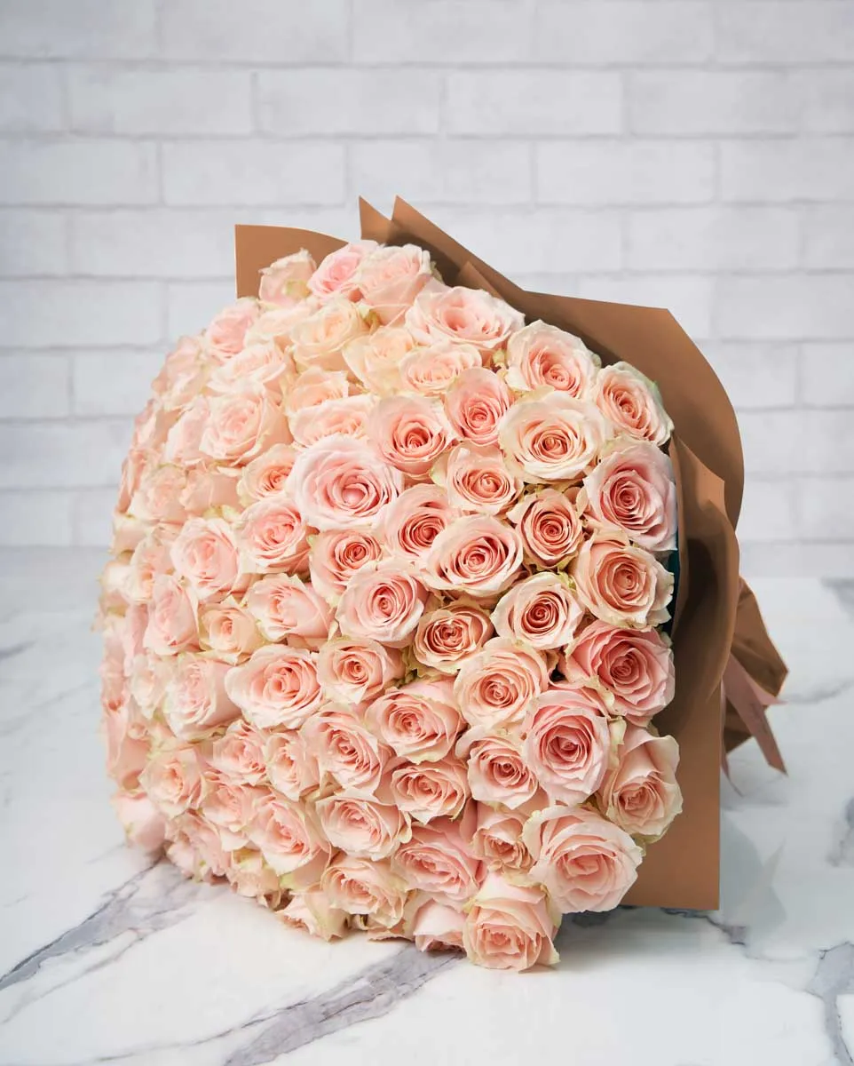 100 harmony brown wrap