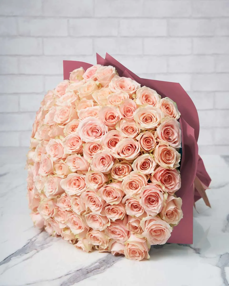 100 harmony pink wrap