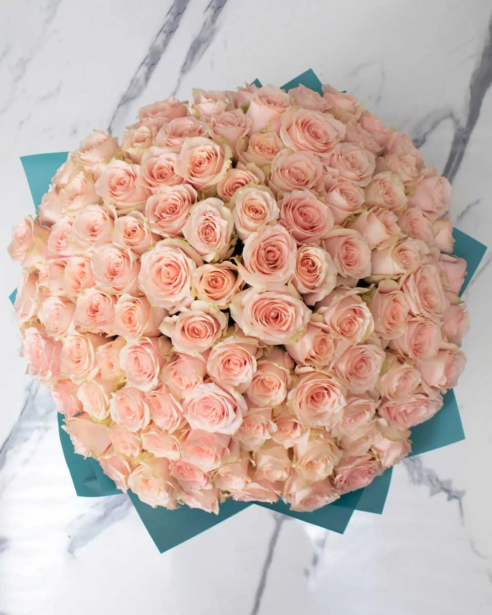 100 harmony rose detailed 1