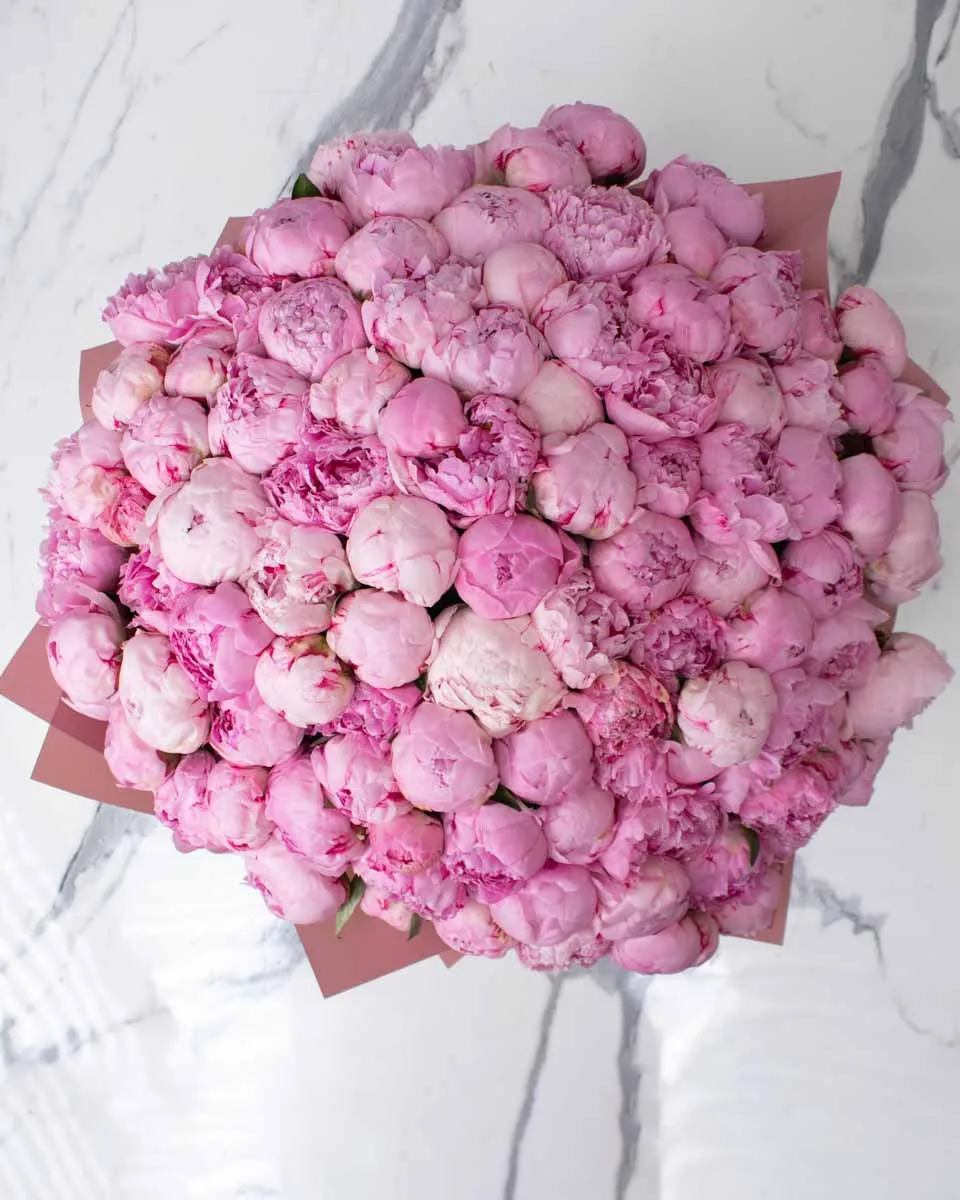 100 peony pink detailed