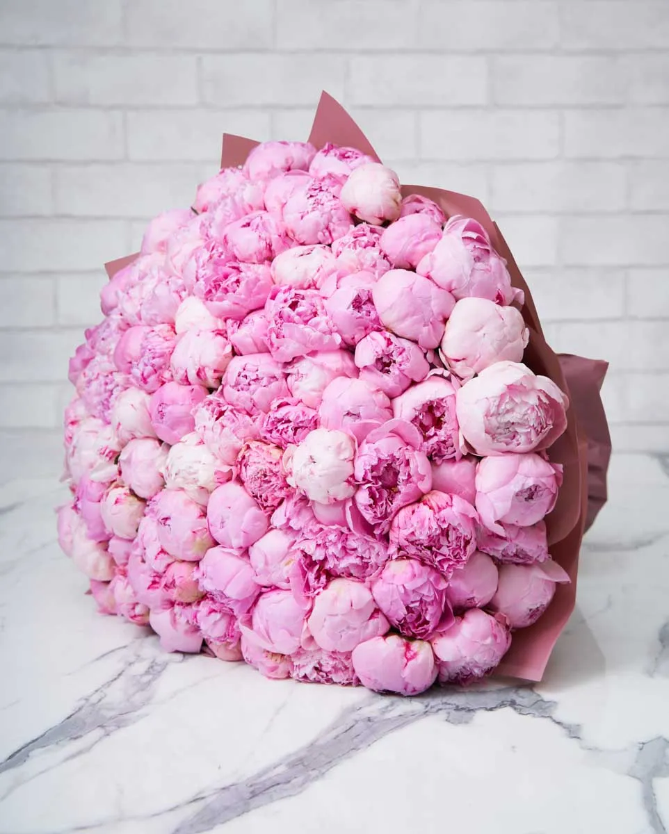 100 peony pink original