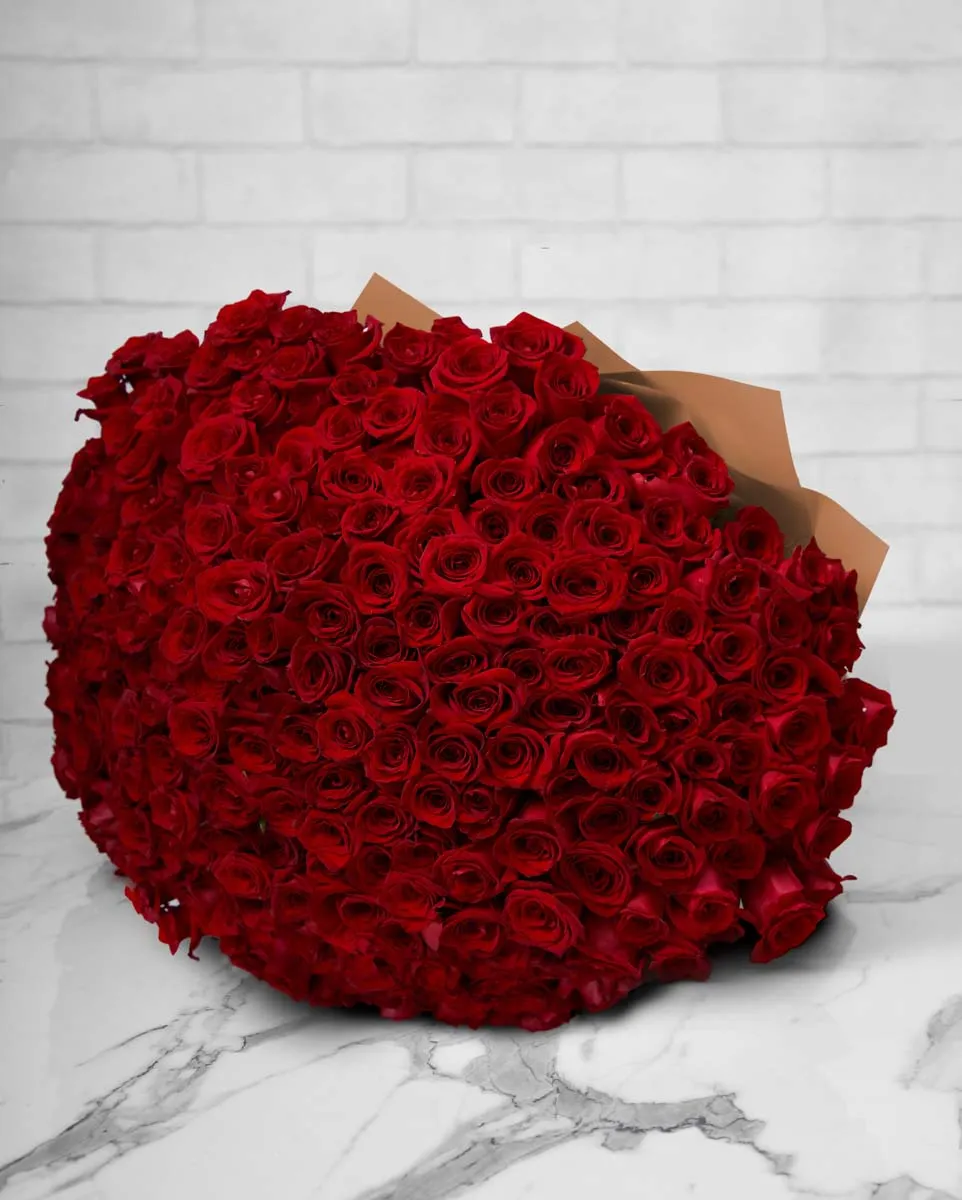 250 red roses brown wrap