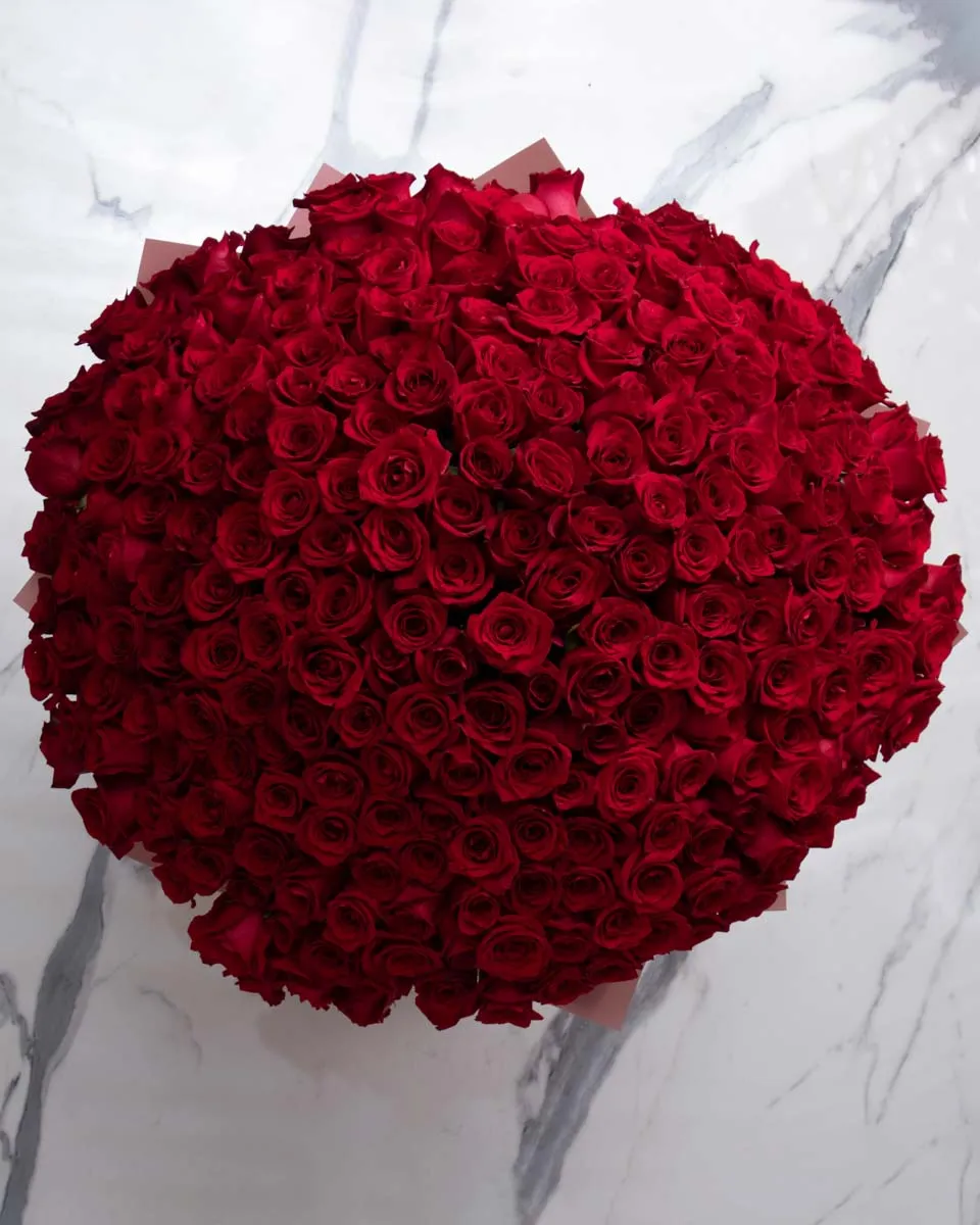 250 red roses detailed 1