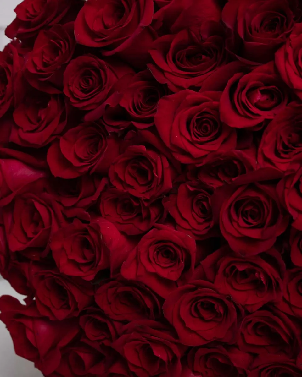 250 red roses detailed 2