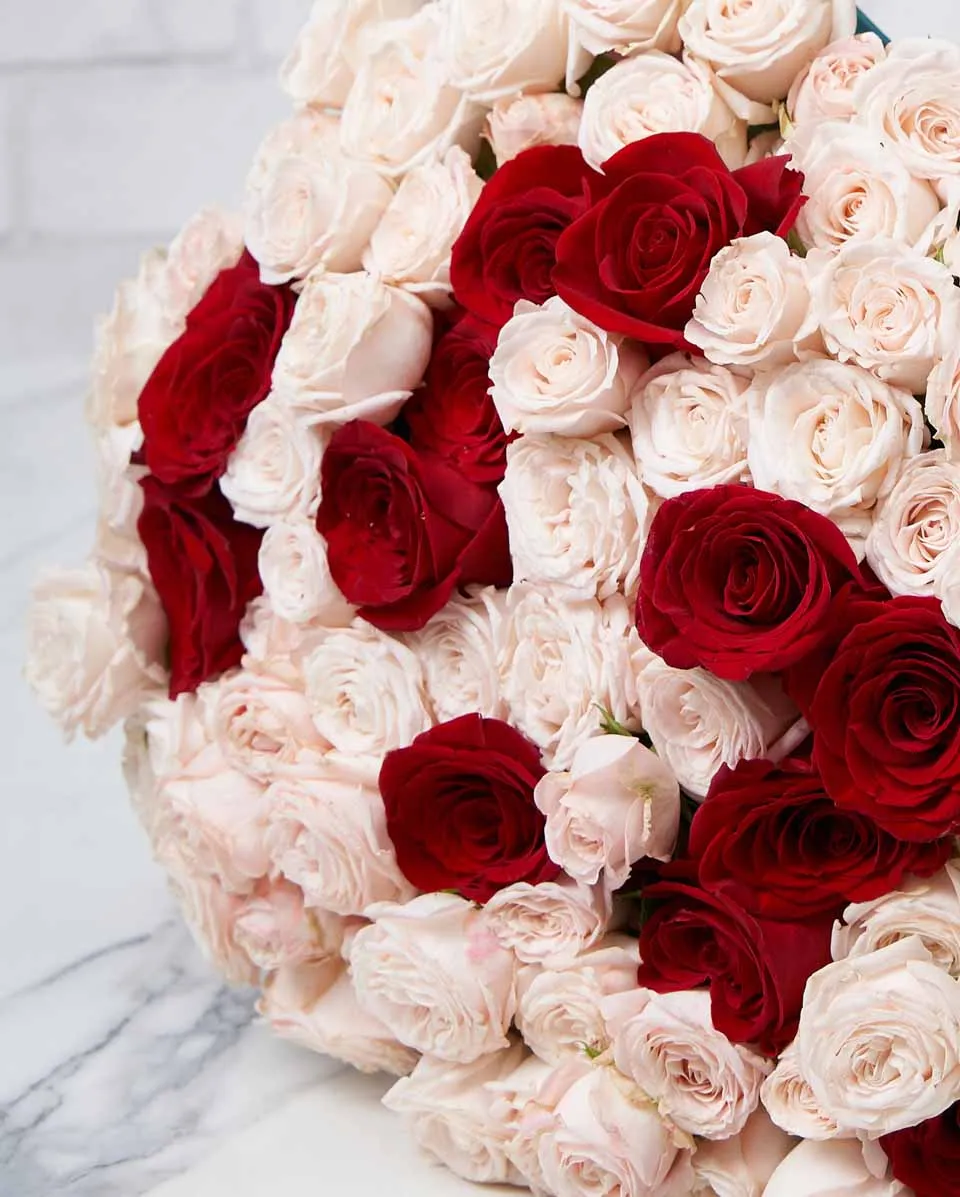 Athena  Blue Details