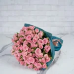 BLUSH ODILLA 24 STEMS BLUE