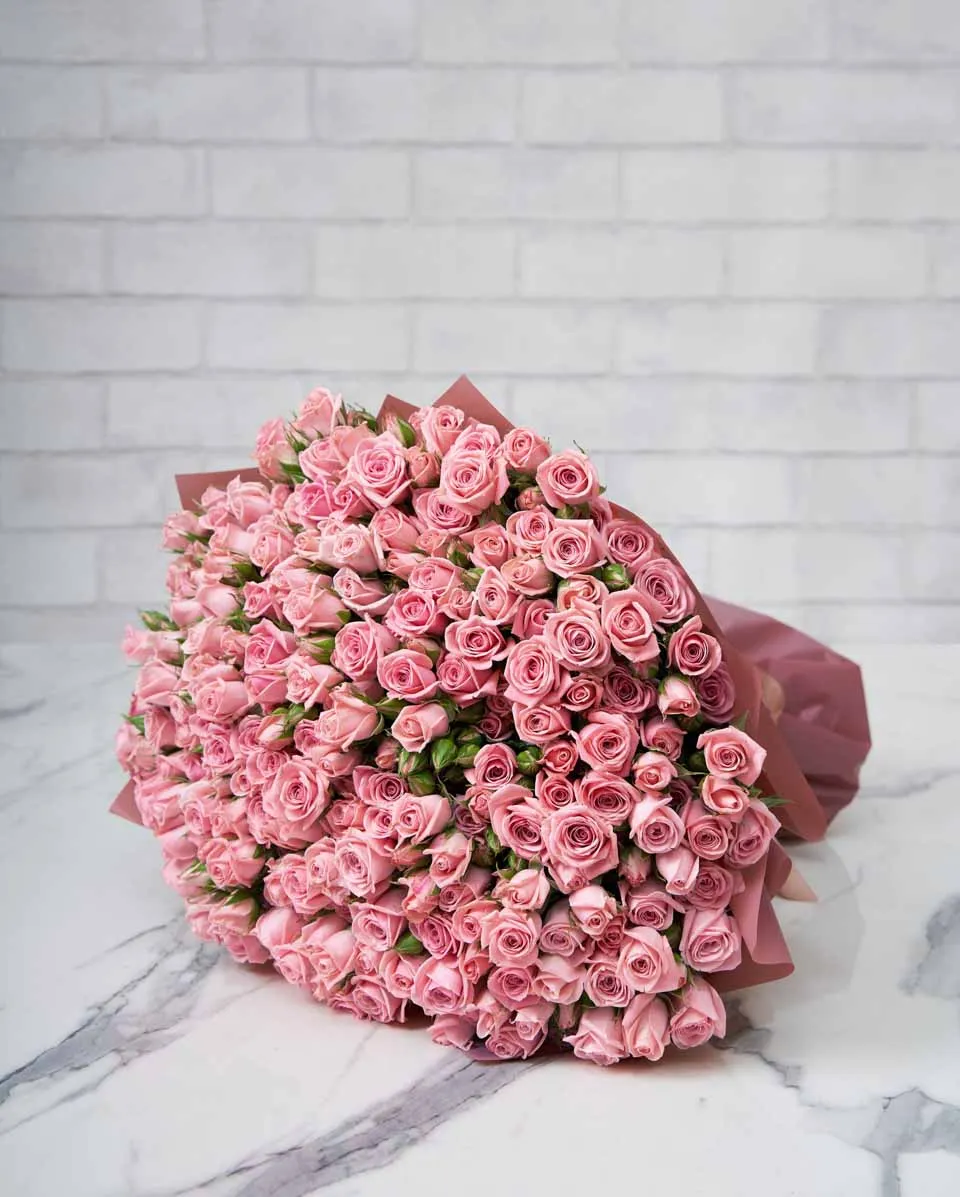 Blush Odilla  48 Pink