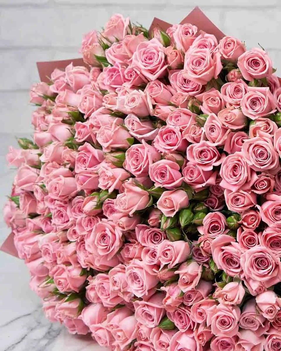 Blush Odilla  48 Pink Details