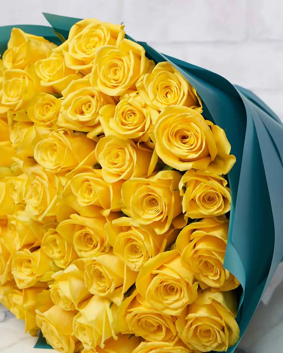 Cheerful Yellow  48 Blue Details