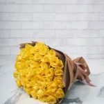 Cheerful Yellow  48 Brown