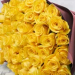 Cheerful Yellow  48 Pink Details