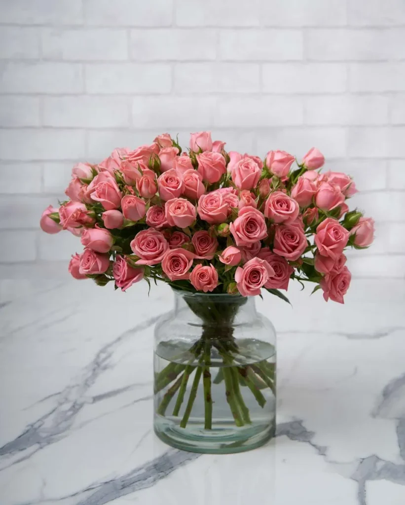 Cherished bloom odilla 1