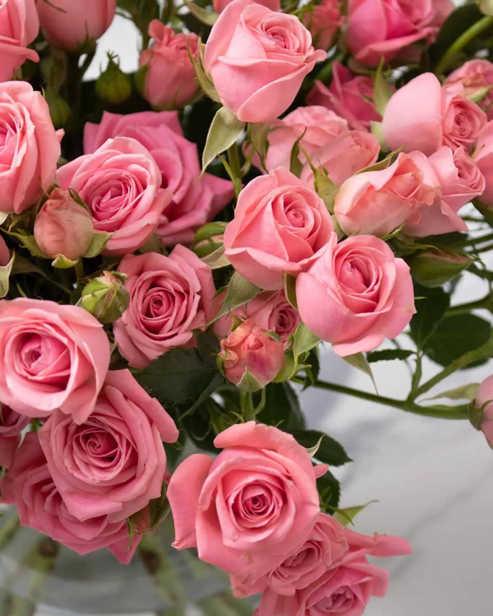 Cherished bloom odilla detailed 1 1