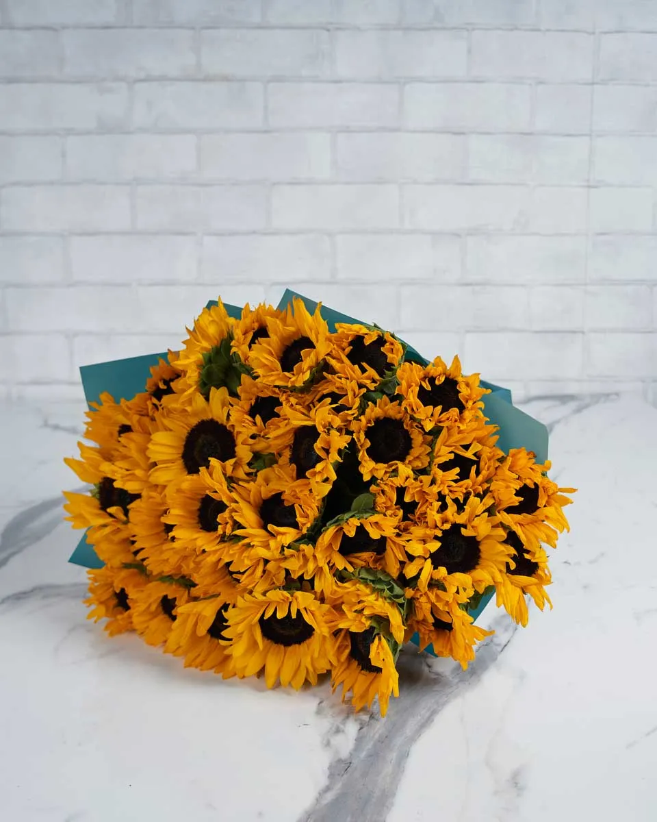 Cybele Sunflowers 36 stems  BLUE