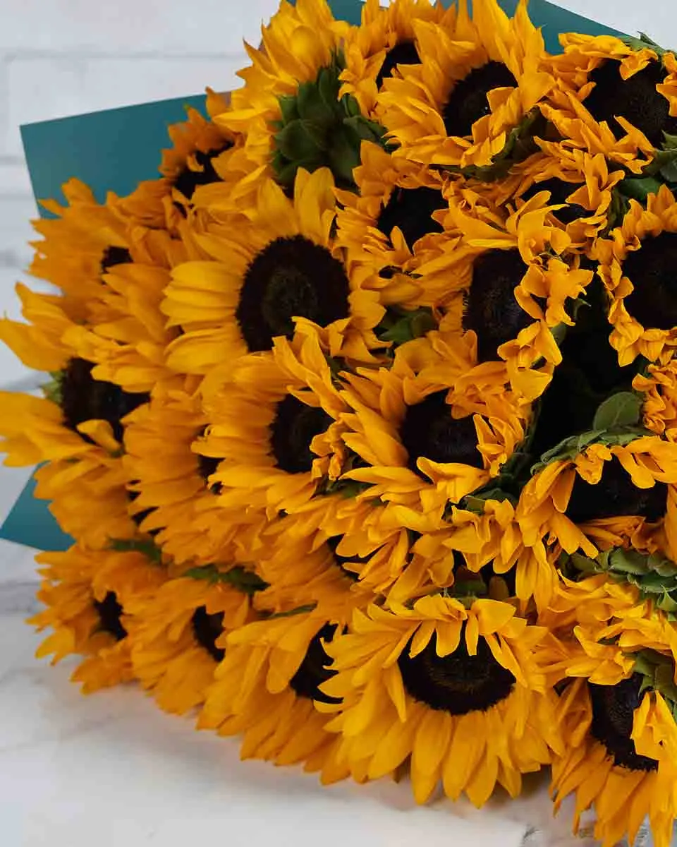 Cybele Sunflowers 36 stems  BLUE Details