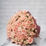 Darling Sarah  48 Pink