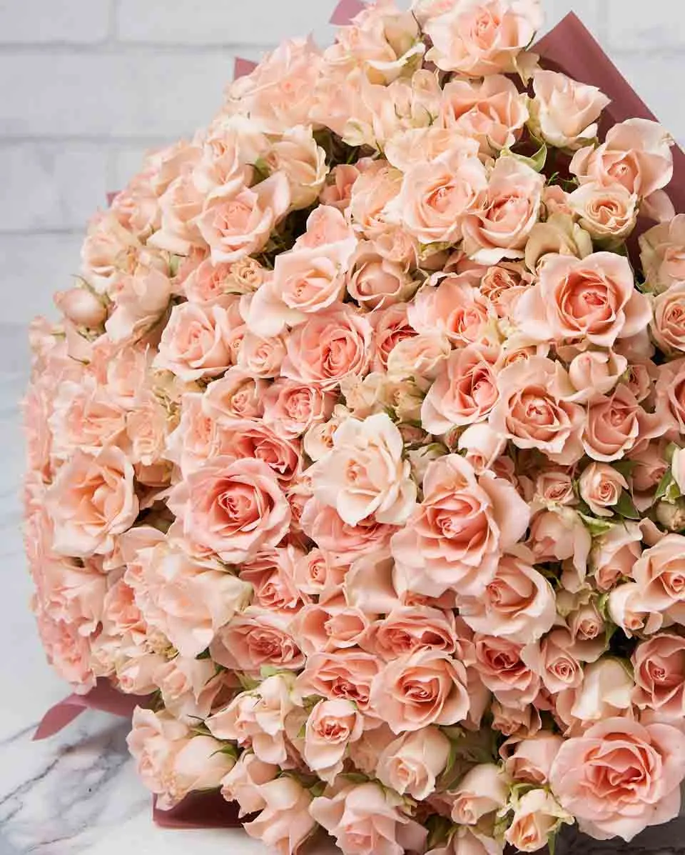 Darling Sarah  48 Pink Details