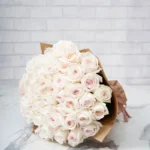 Delicate Ohara White 48 Brown