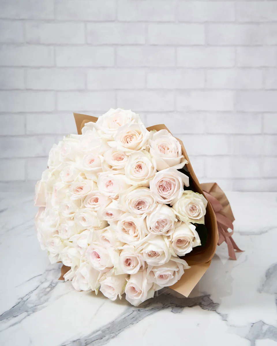 Delicate Ohara White 48 Brown