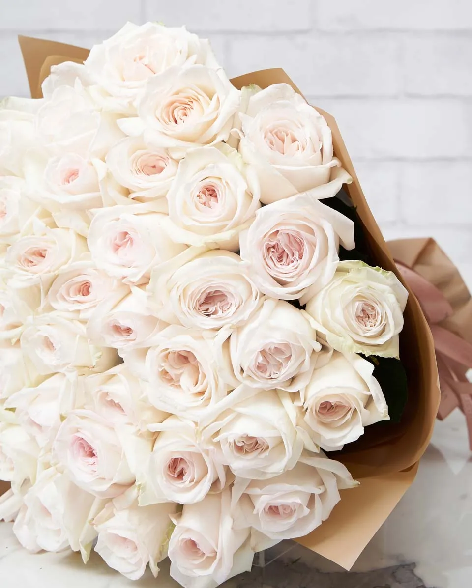 Delicate Ohara White 48 Brown Details