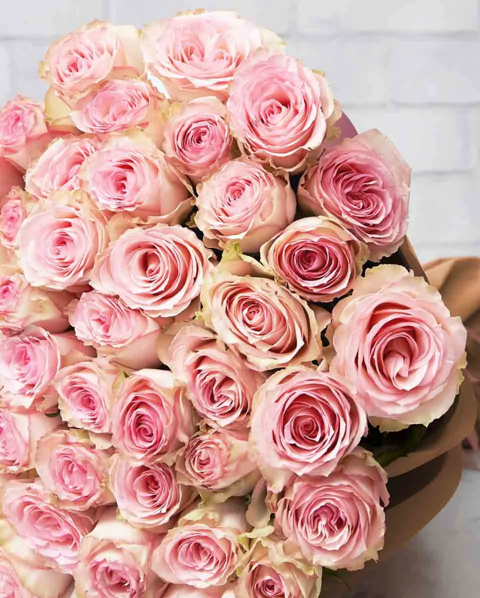 Esperanza  48 Brown Details