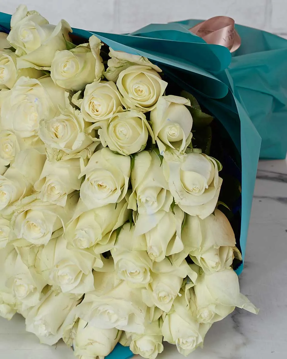 Gaia  48 Reshoot Blue wrap Details