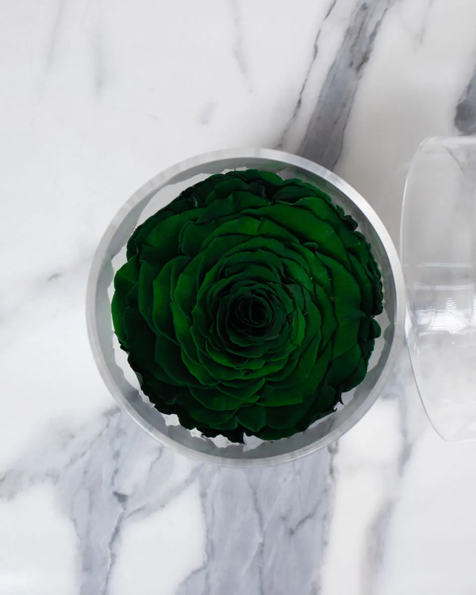 Green Rose Detailed