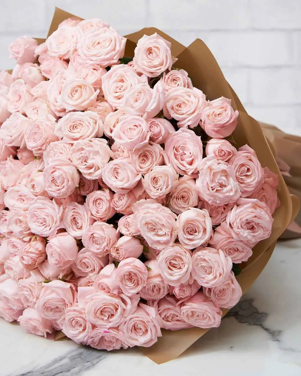 Hera  48 Brown Details