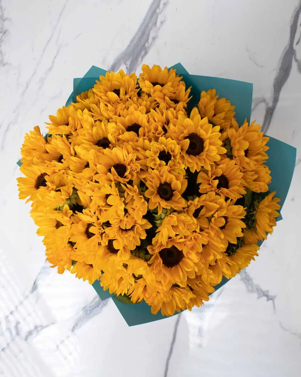 Jumbo sunflower detailed