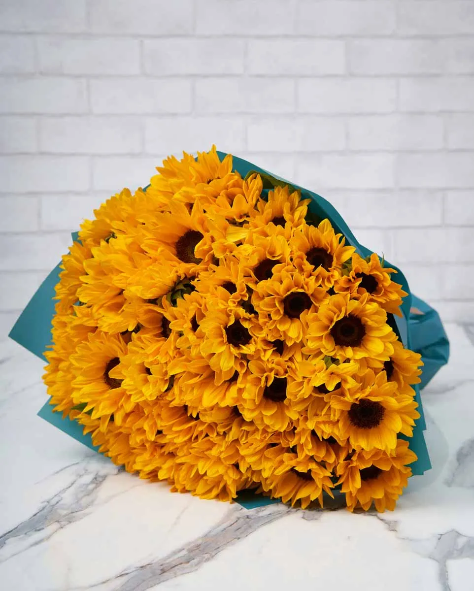 Jumbo sunflower original