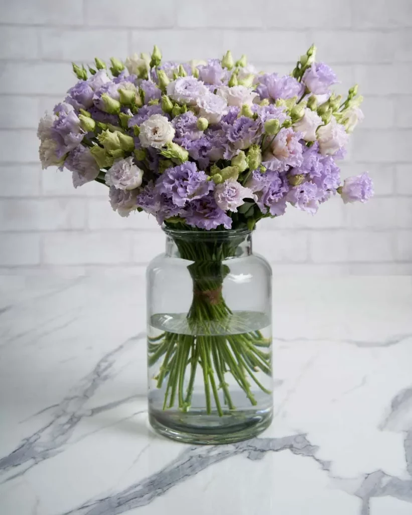 Lisianthus Wonder