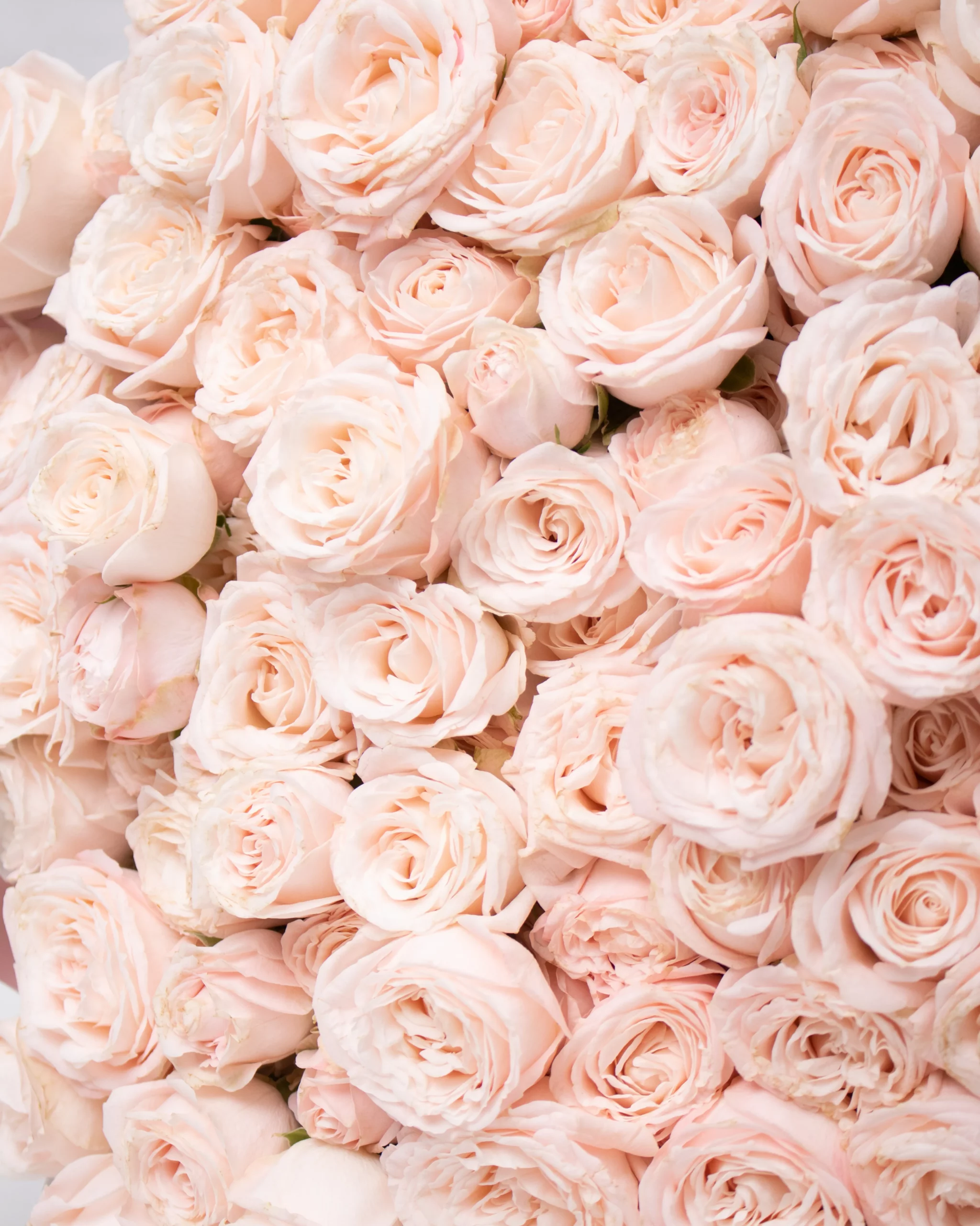 Marvelous Bouquet Detailed 2 scaled