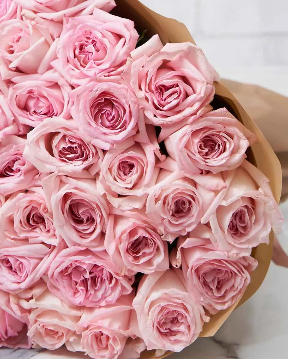 Minerva  Brown Details