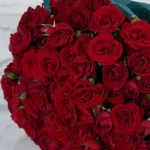 Red Melody 24 Blue Details