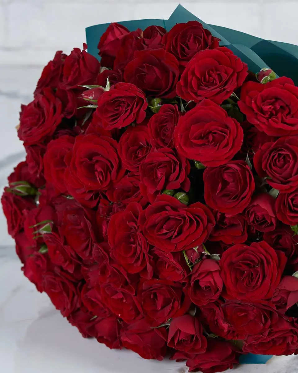 Red Melody 24 Blue Details