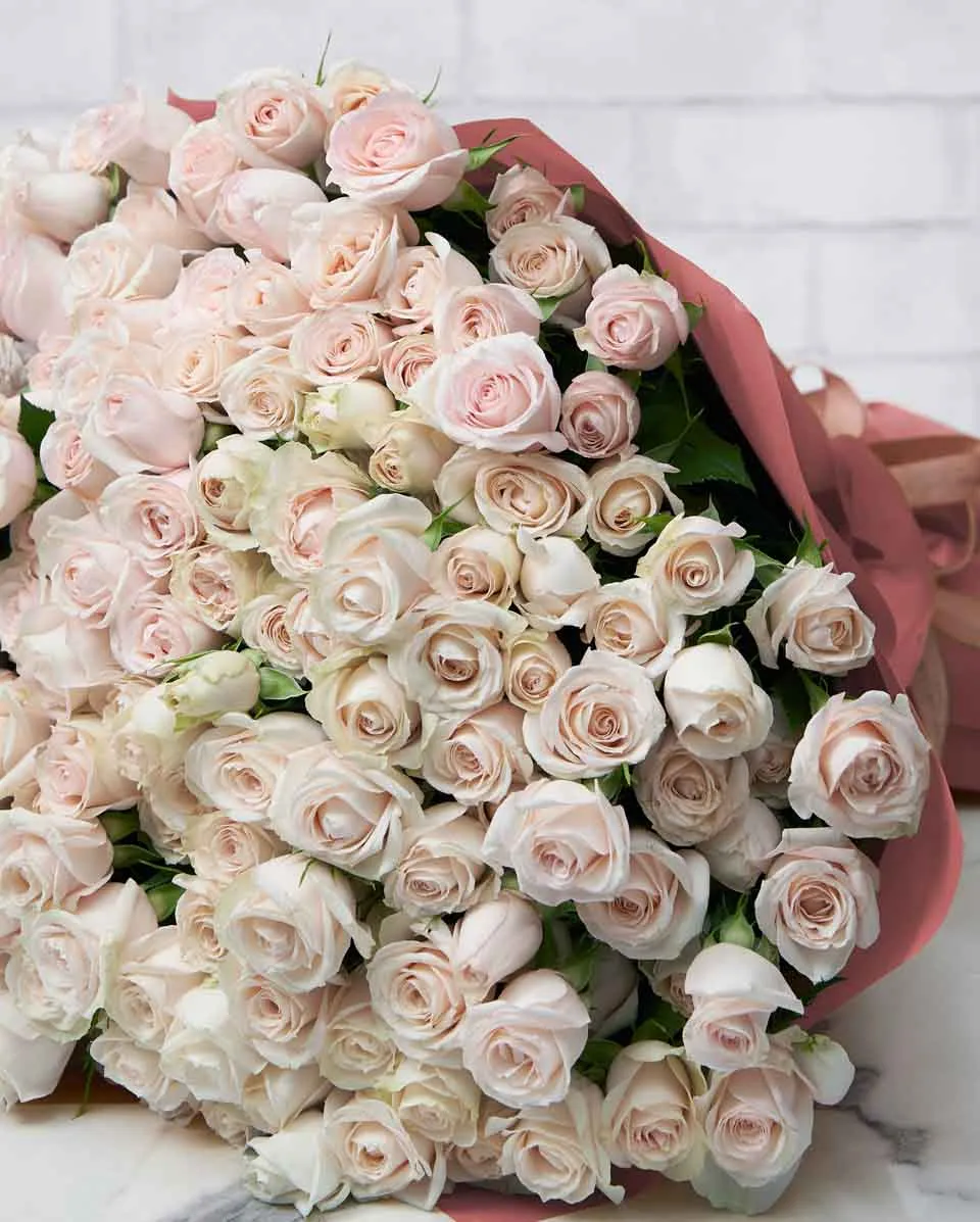 Rhea Super Bubbles  36 Pink Details