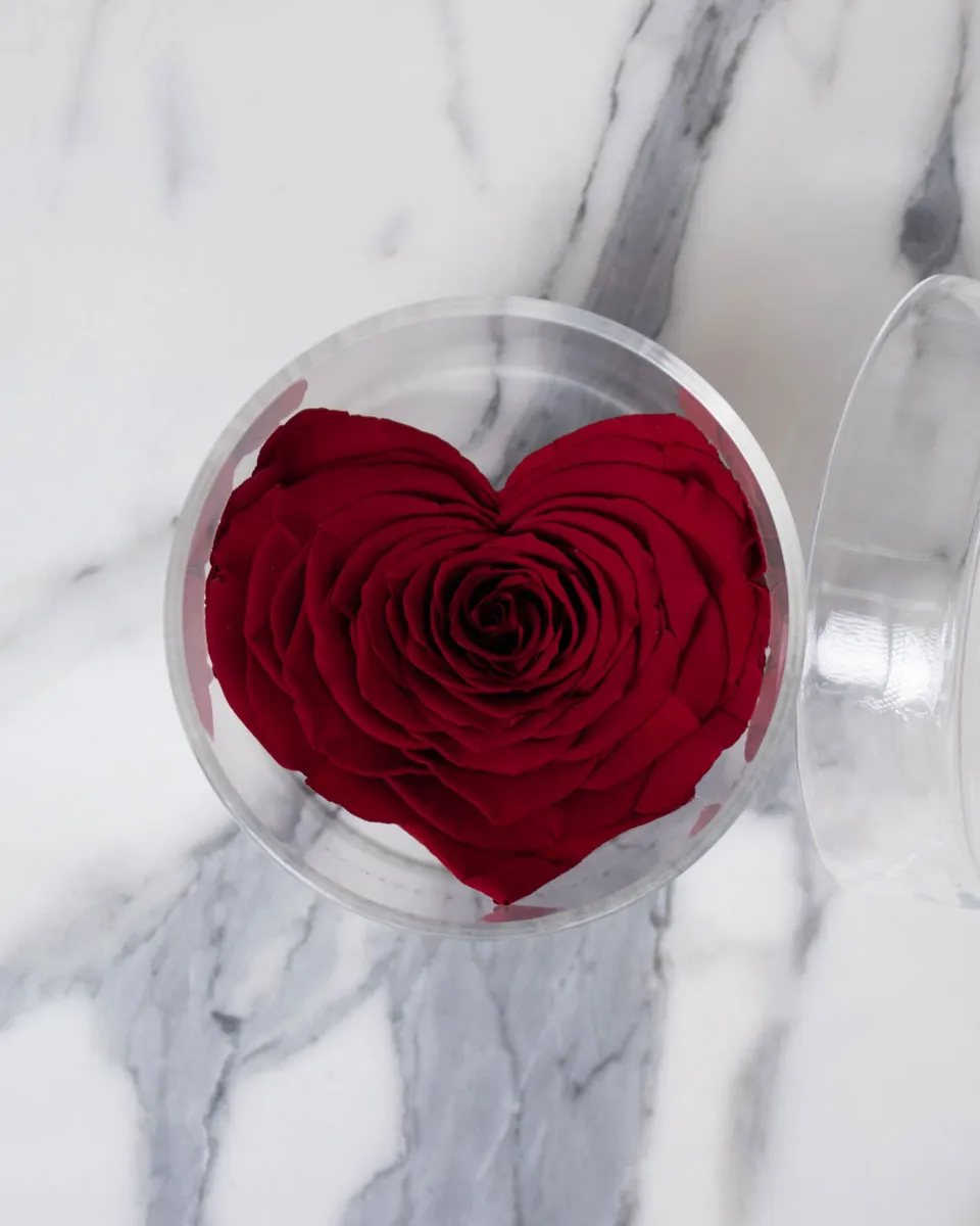 Rosa Red Heart detailed 1