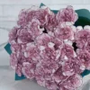 Special Carnation Damascus  48 stems  BLUE Details