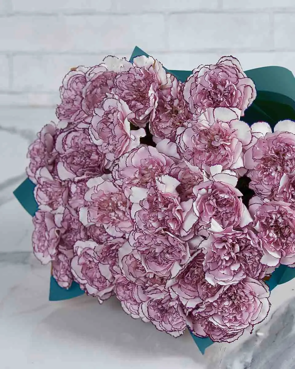 Special Carnation Damascus  48 stems  BLUE Details