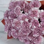 Special Carnation Damascus  48 stems  PINK Details