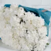 Special Carnation White  48 stems Blue Details