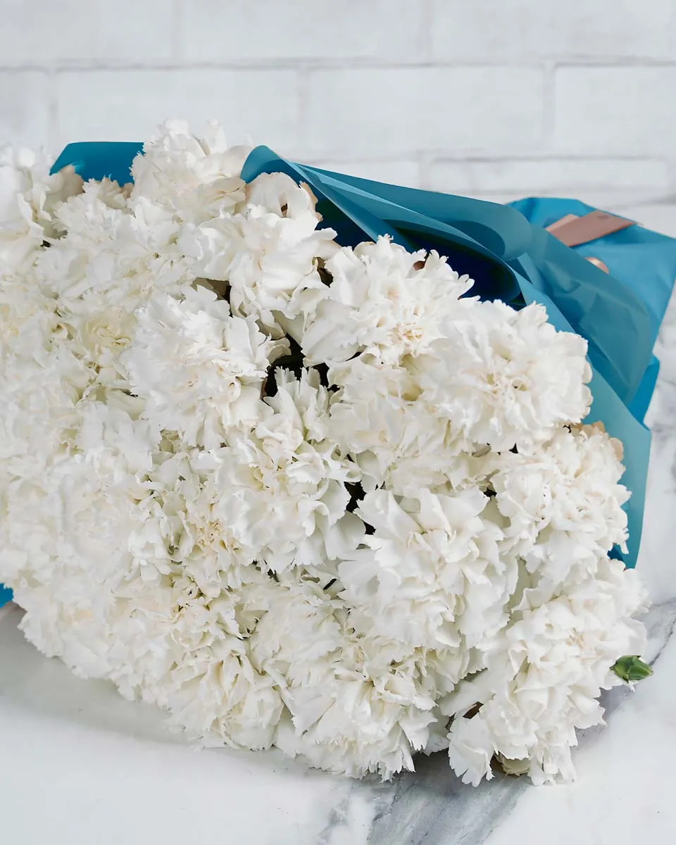 Special Carnation White  48 stems Blue Details
