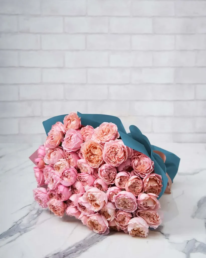 Striking Julieta Salmon  24 Blue