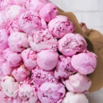 Thalia  Brown Details