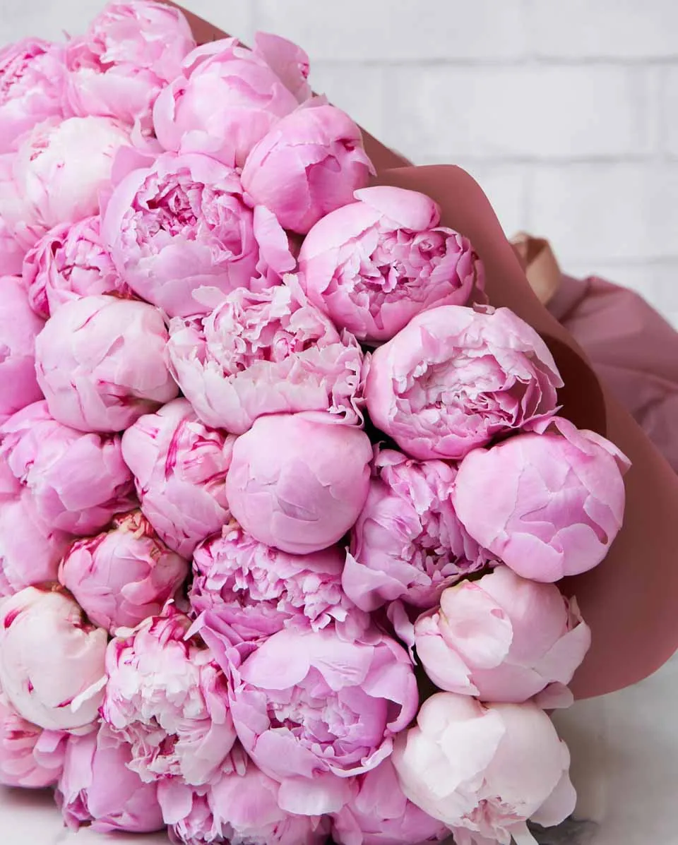 Thalia  Pink Details