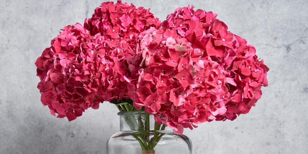 Welcome-Back-Flowers