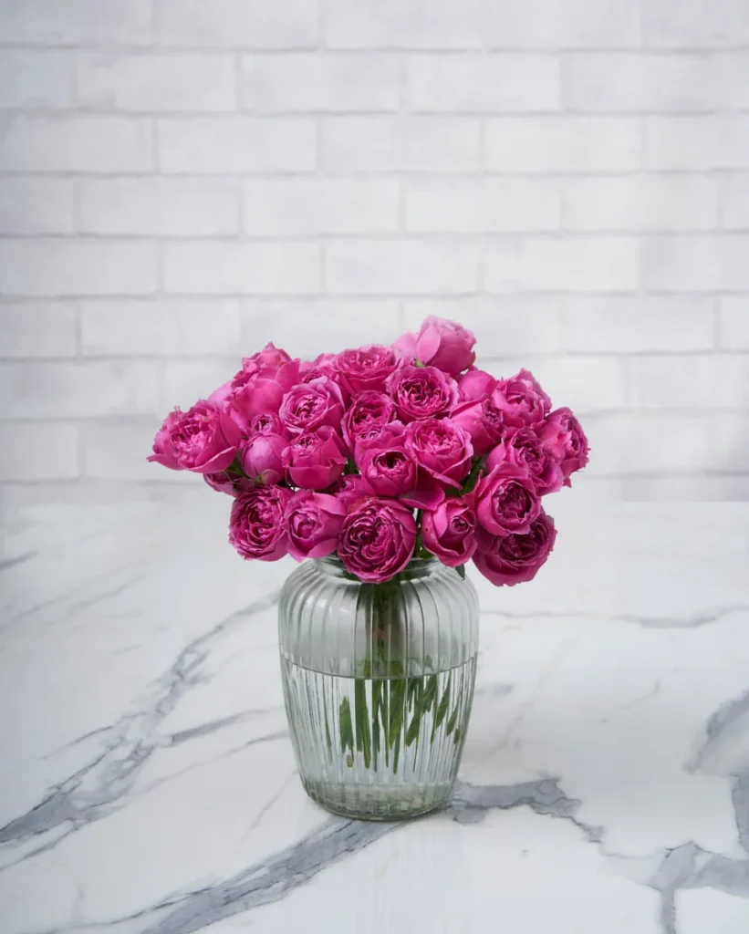 baby blooms misty bubbles 1